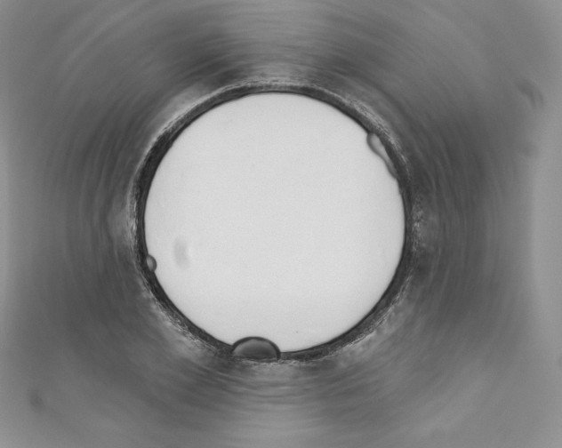 X0000110760981200907271140