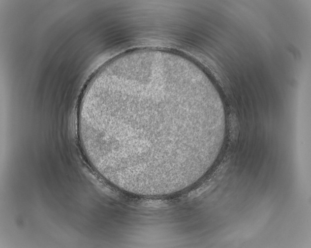 X0000110760982200907271140