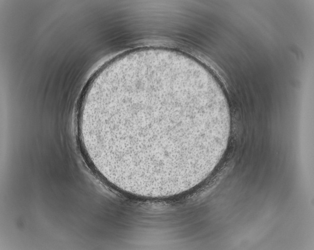 X0000110760983200907271140