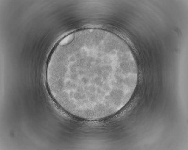 X0000110760984200907271140