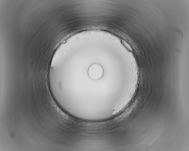X0000110760985200907271140