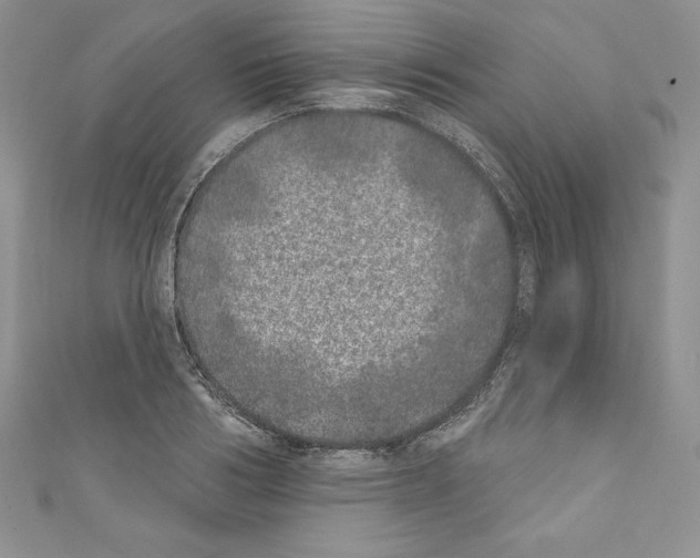 X0000110760986200907271140