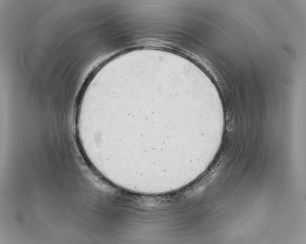 X0000110760987200907271140