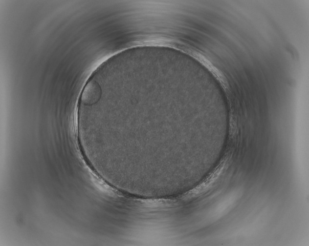 X0000110760988200907271140