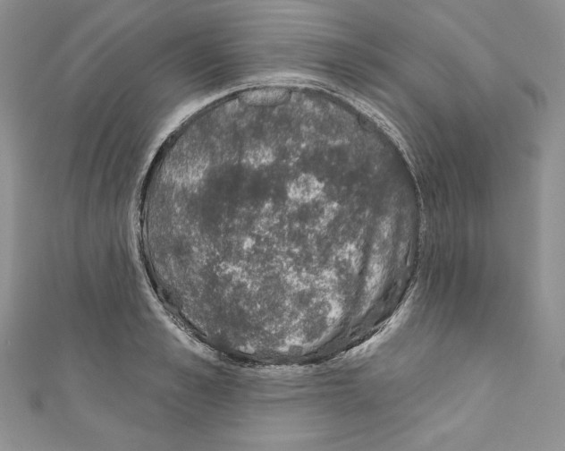 X0000110760989200907271140