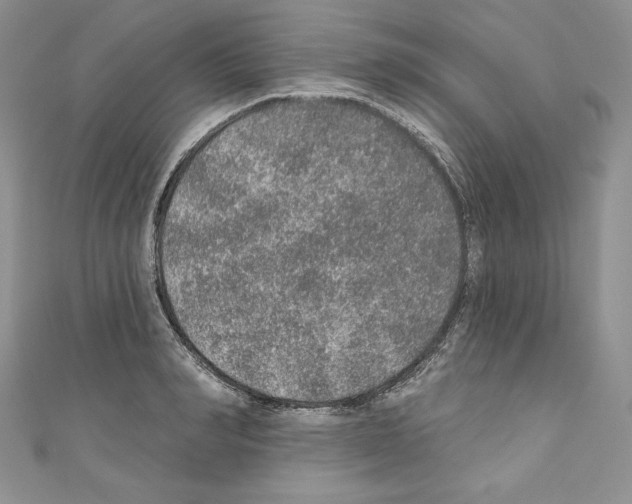X0000110760990200907271140