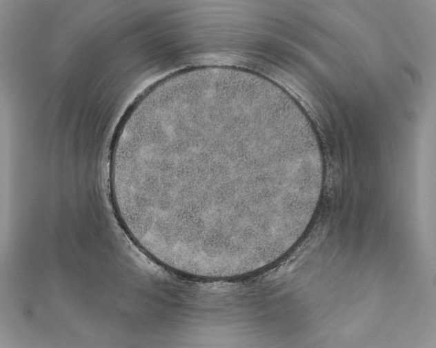 X0000110760992200907271140