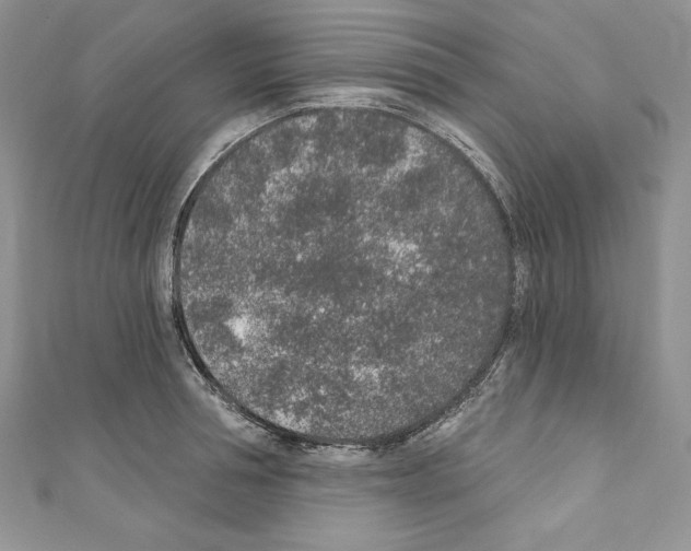 X0000110760994200907271140
