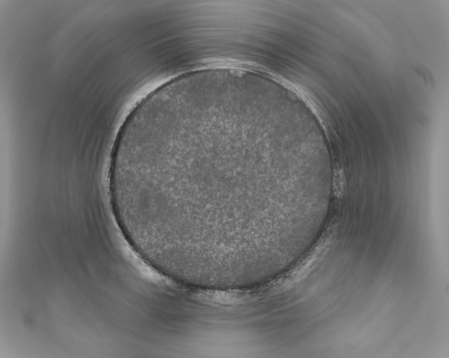 X0000110760995200907271140