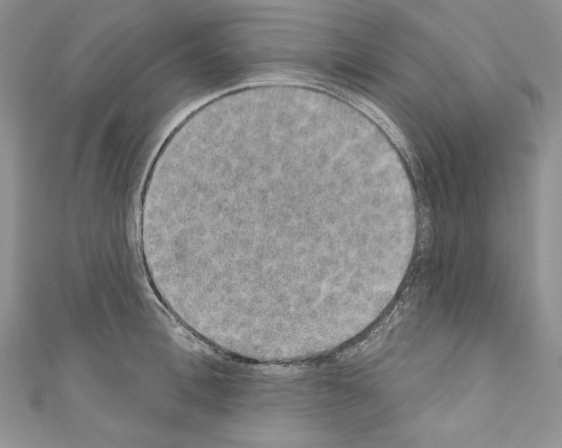 X0000110760996200907271140