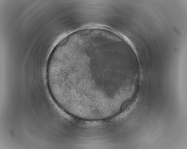 X0000110760997200907271140