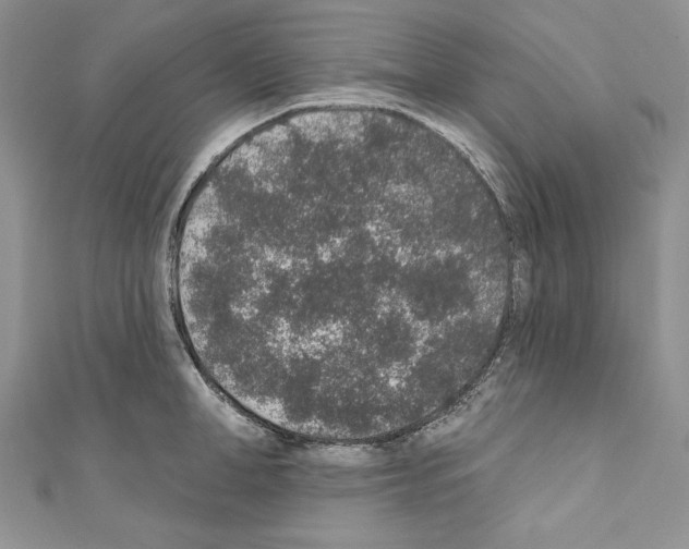 X0000110760998200907271140