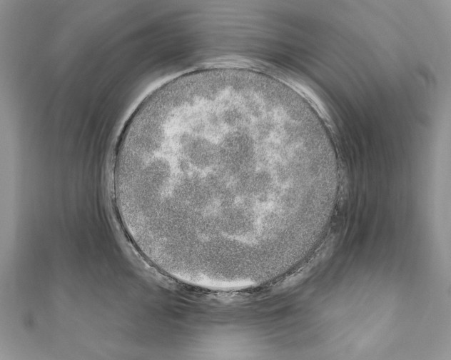 X0000110761000200907271140