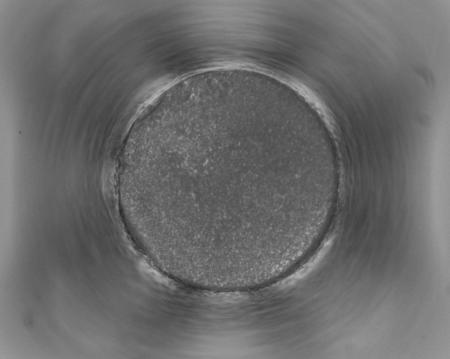 X0000110761001200907271140