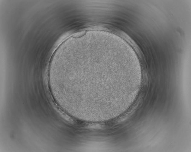 X0000110761002200907271140