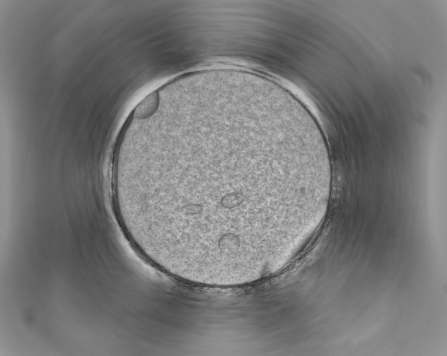 X0000110761003200907271140