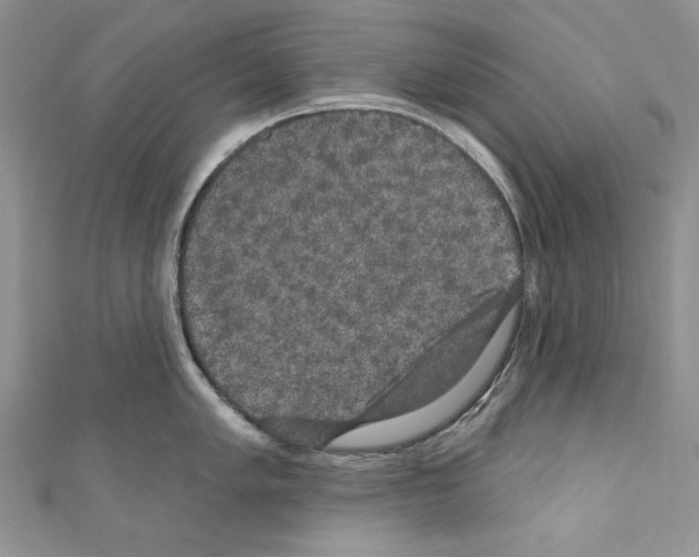 X0000110761005200907271140