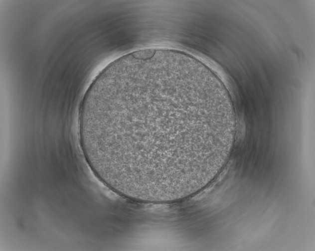 X0000110761006200907271140