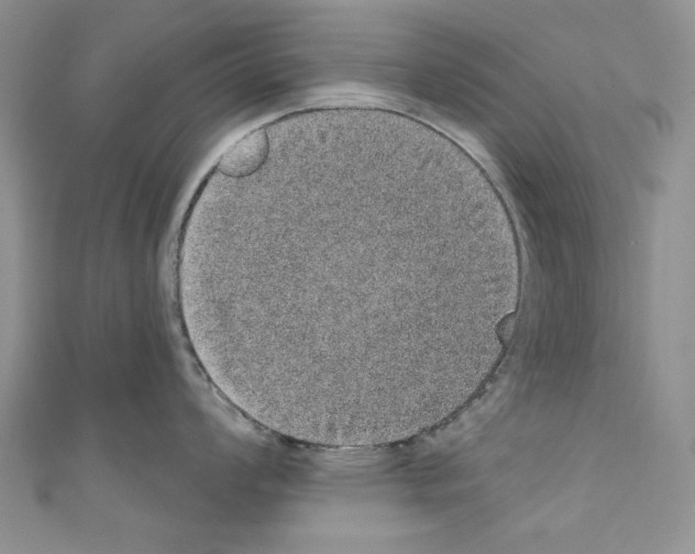 X0000110761008200907271140