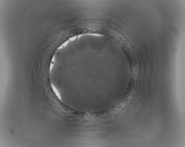X0000110761009200907271139