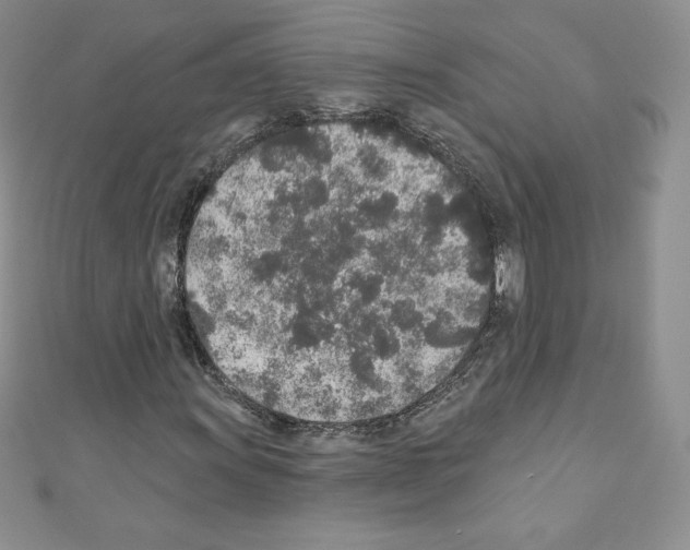X0000110761011200907271139