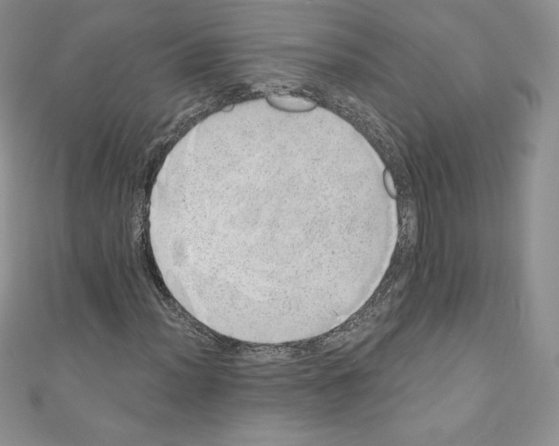 X0000110761012200907271139