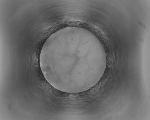 X0000110761013200907271139