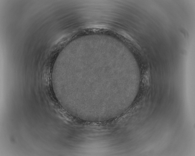 X0000110761014200907271139