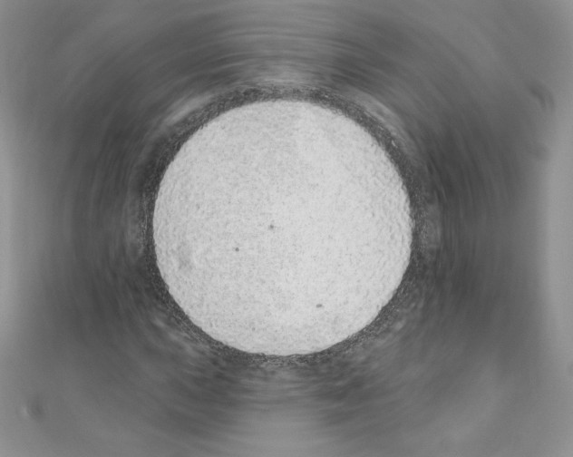 X0000110761015200907271139