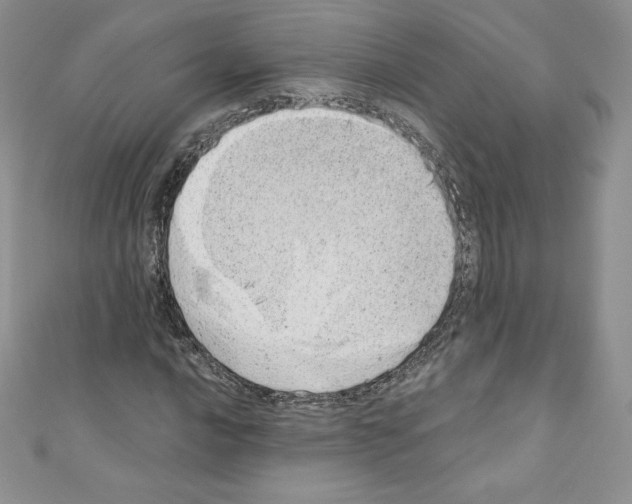 X0000110761016200907271139