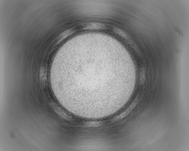 X0000110761017200907271139