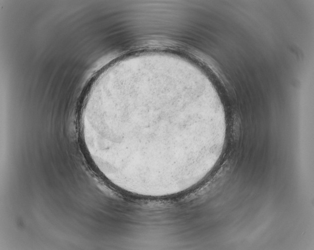 X0000110761018200907271139