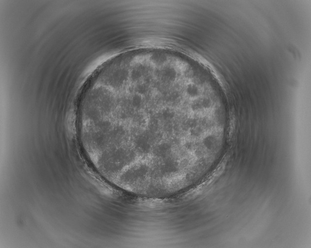 X0000110761019200907271139