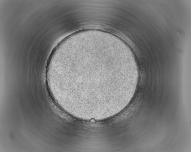 X0000110761020200907271139