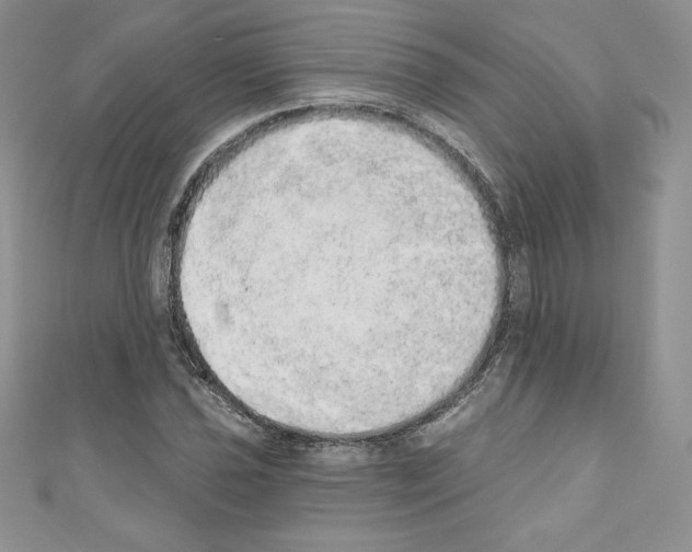 X0000110761021200907271139
