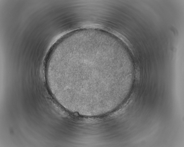 X0000110761022200907271139