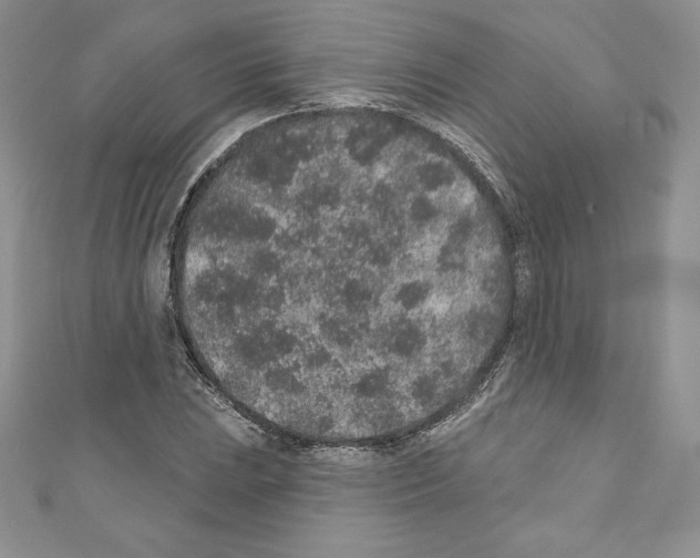 X0000110761023200907271139