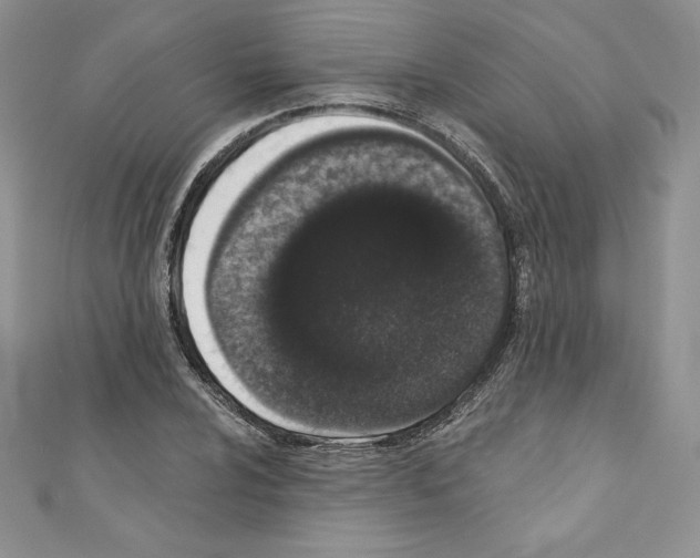 X0000110761024200907271139