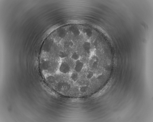 X0000110761025200907271139