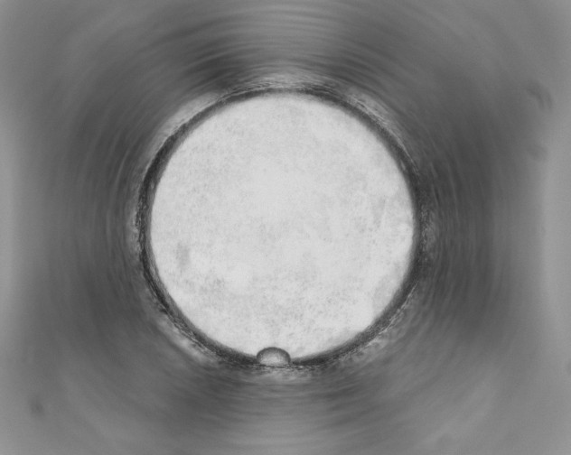 X0000110761026200907271139
