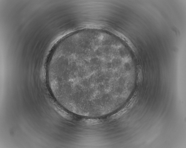X0000110761027200907271139