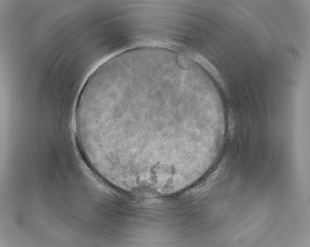 X0000110761028200907271139