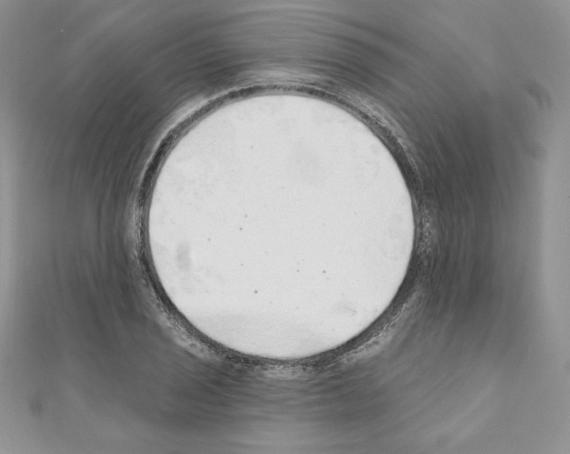 X0000110761029200907271139
