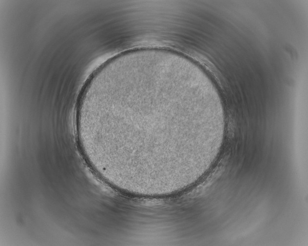 X0000110761030200907271139