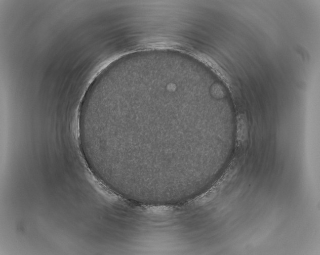 X0000110761031200907271139