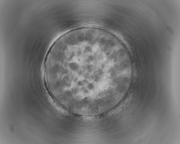 X0000110761032200907271139