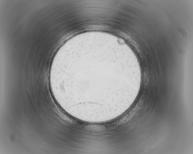 X0000110761033200907271139
