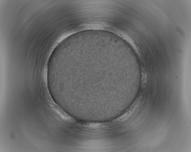 X0000110761035200907271139