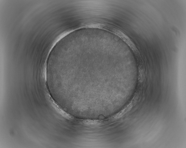 X0000110761036200907271139