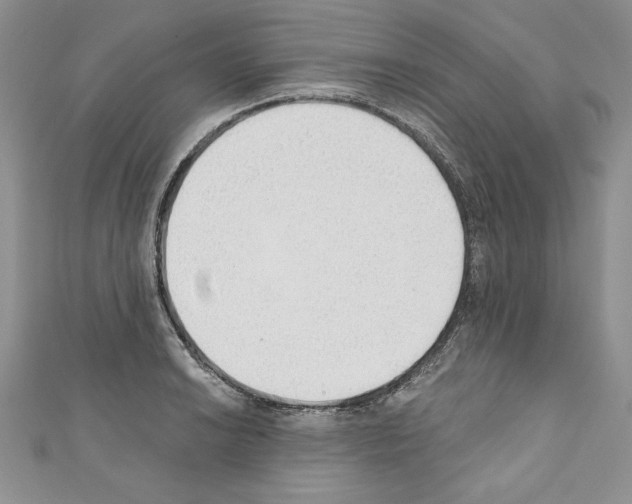 X0000110761038200907271139